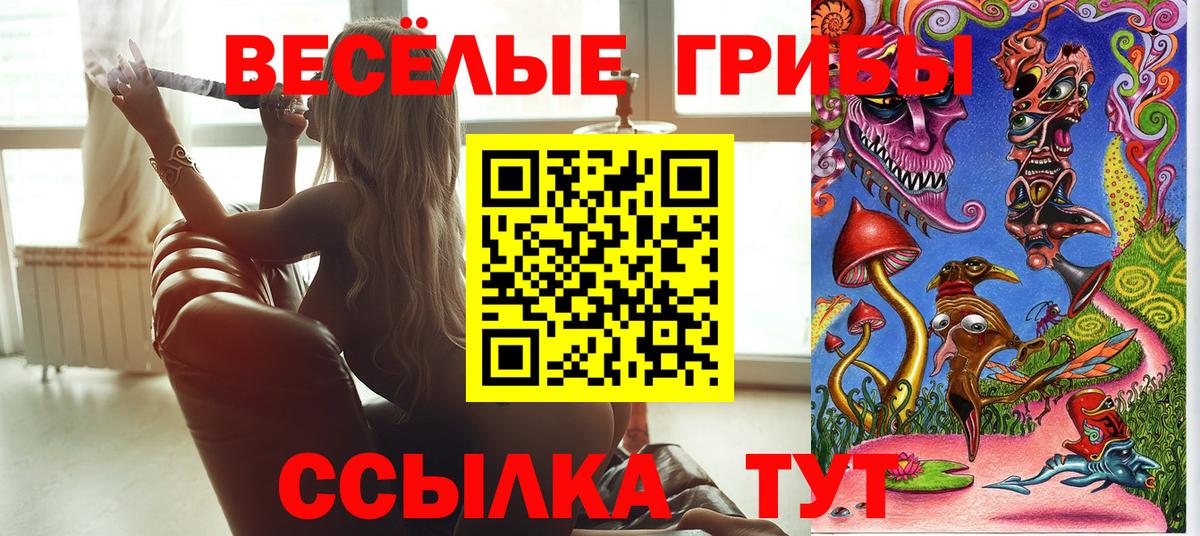Галлюциногенные грибы GOLDEN TEACHER Прокопьевск